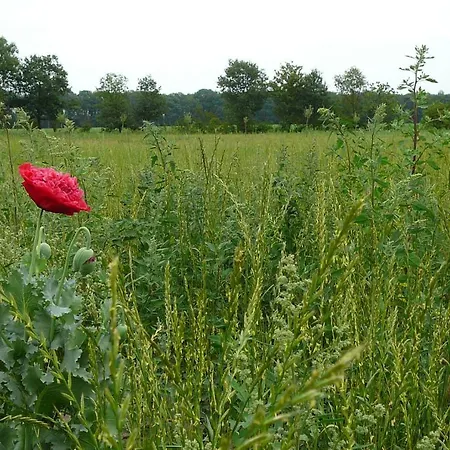 Gasterij Landschot Bed & Breakfast